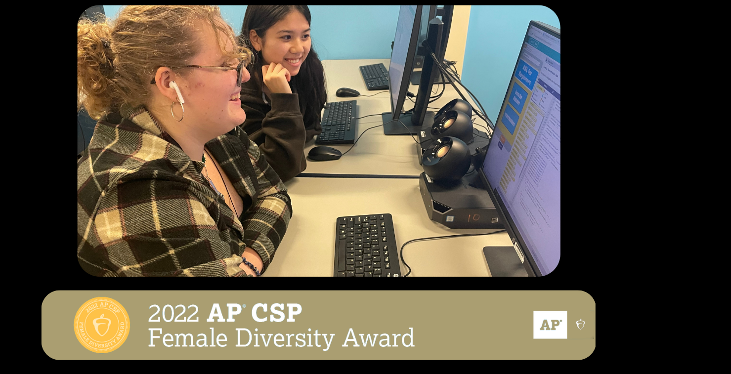 AP Computer Science Diversity Award